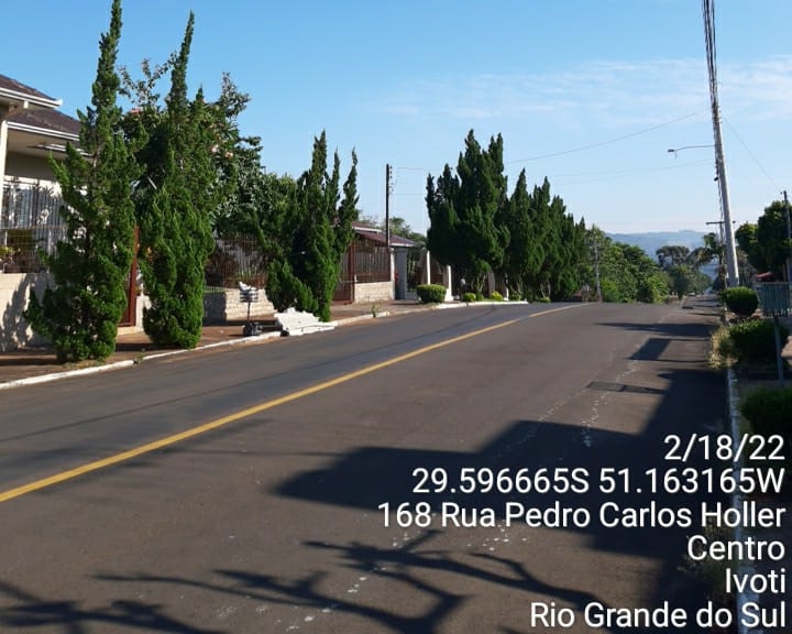 Ciprestes nas calçadas